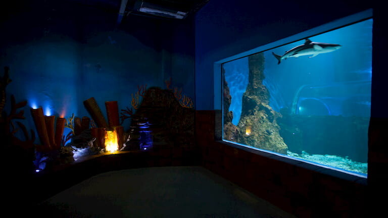 Aquarium de Lanzarote.