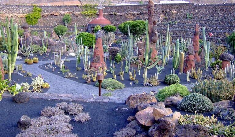 El Jardín de Cactus de Lanzarote.