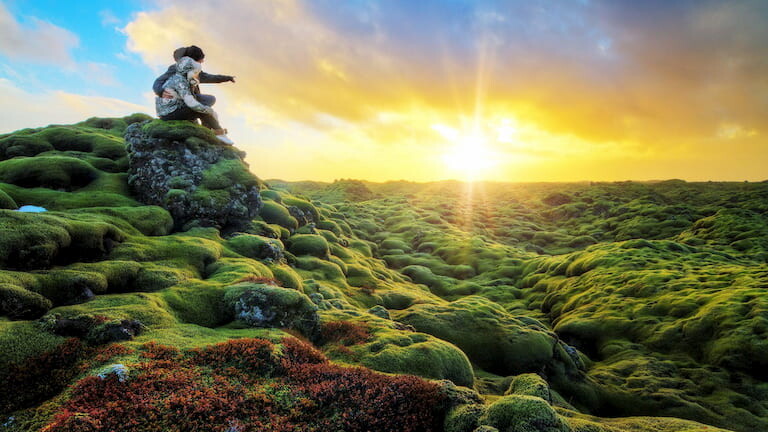 Campos de lava cubiertos de musgo en Islandia